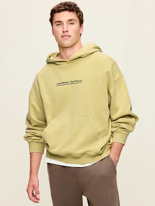 Lived-In Pro Hoodie - Seagrass